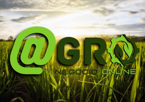 Design-sem-nome-2023-02-08T160845.682-3